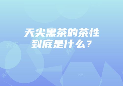 天尖黑茶的茶性到底是什么？