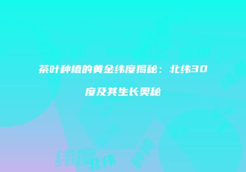 茶叶种植的黄金纬度揭秘：北纬30度及其生长奥秘
