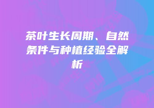 茶叶生长周期、自然条件与种植经验全解析