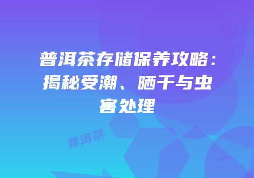 普洱茶存储保养攻略：揭秘受潮、晒干与虫害处理