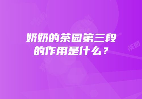 奶奶的茶园第三段的作用是什么？