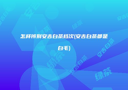 怎样辨别安吉白茶档次(安吉白茶都是白毛)