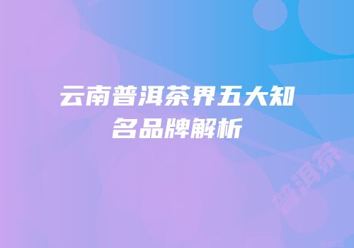 云南普洱茶界五大知名品牌解析