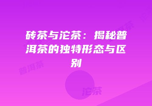 砖茶与沱茶：揭秘普洱茶的独特形态与区别