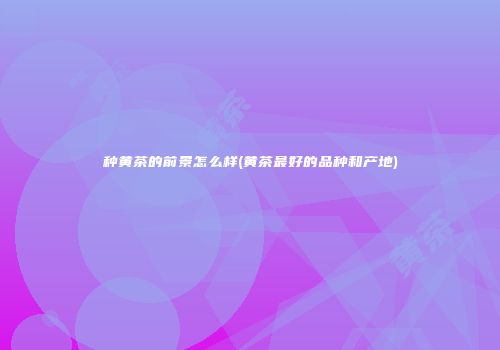 种黄茶的前景怎么样(黄茶最好的品种和产地)