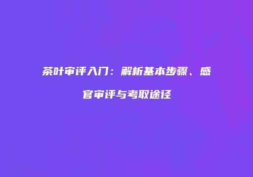 茶叶审评入门：解析基本步骤、感官审评与考取途径