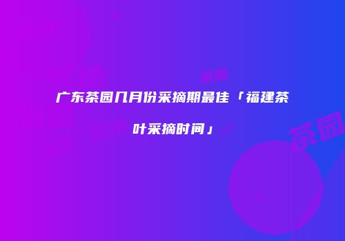 广东茶园几月份采摘期最佳「福建茶叶采摘时间」
