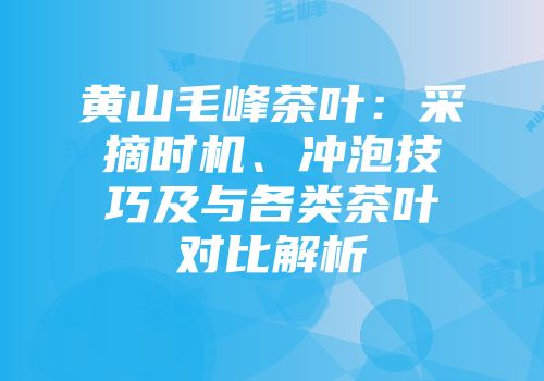 黄山毛峰茶叶：采摘时机、冲泡技巧及与各类茶叶对比解析