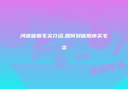 河南信阳毛尖介绍,如何到信阳市买毛尖