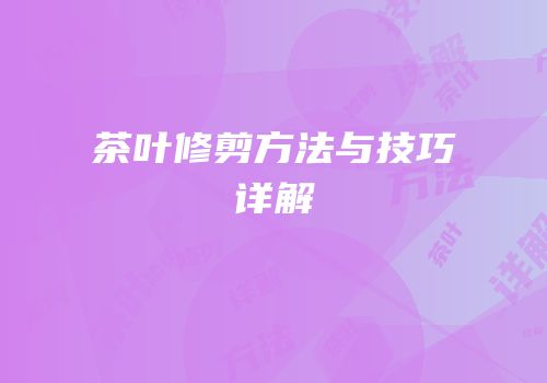 茶叶修剪方法与技巧详解