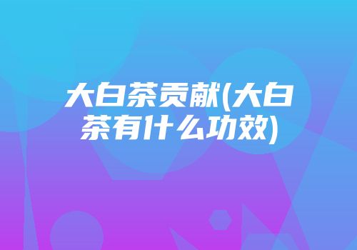 大白茶贡献(大白茶有什么功效)