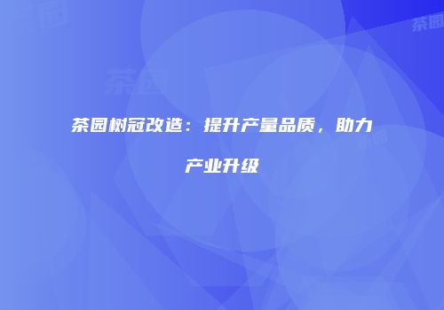 茶园树冠改造：提升产量品质，助力产业升级