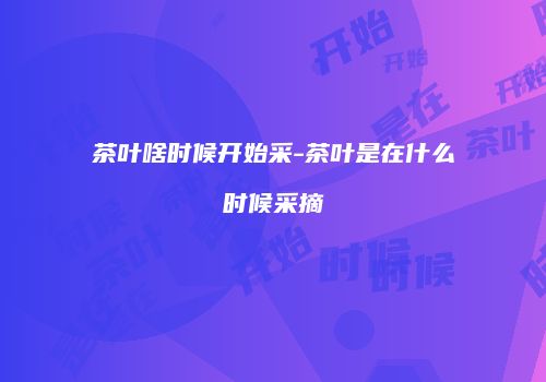 茶叶啥时候开始采-茶叶是在什么时候采摘