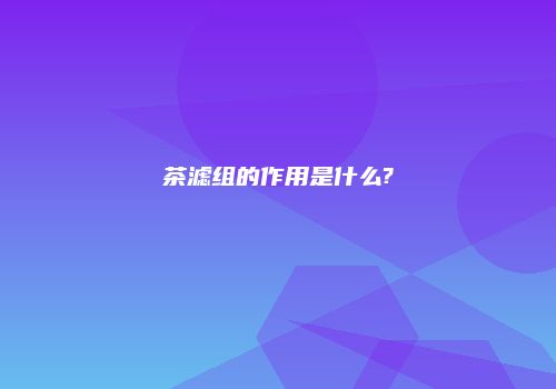 茶滤组的作用是什么?