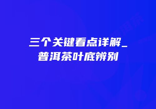 三个关键看点详解_普洱茶叶底辨别