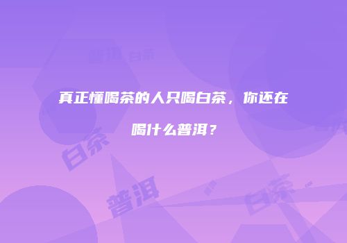 真正懂喝茶的人只喝白茶，你还在喝什么普洱？