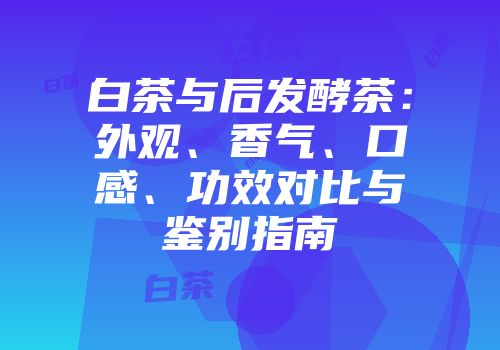 白茶与后发酵茶：外观、香气、口感、功效对比与鉴别指南