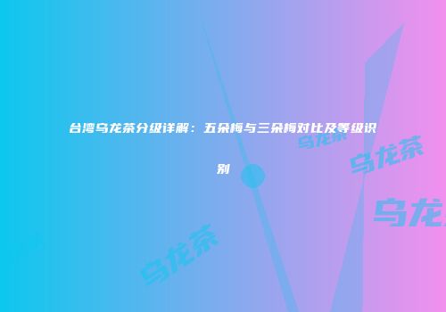 台湾乌龙茶分级详解：五朵梅与三朵梅对比及等级识别