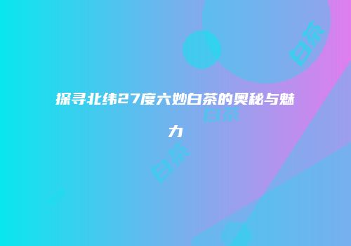 探寻北纬27度六妙白茶的奥秘与魅力