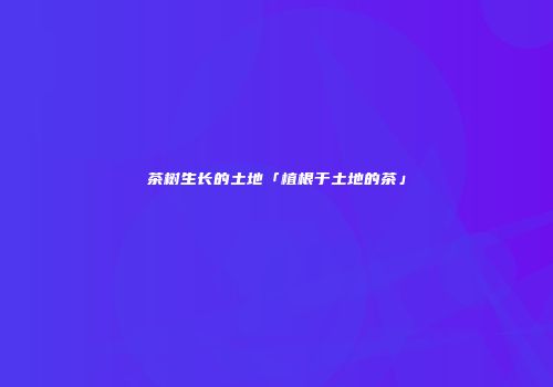 茶树生长的土地「植根于土地的茶」