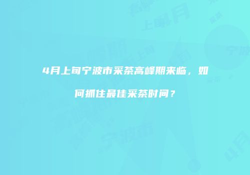 4月上旬宁波市采茶高峰期来临，如何抓住最佳采茶时间？