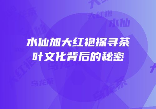 水仙加大红袍探寻茶叶文化背后的秘密
