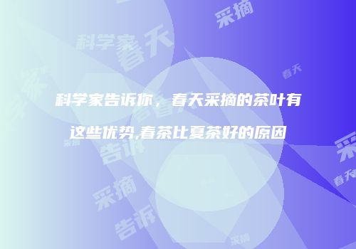科学家告诉你，春天采摘的茶叶有这些优势,春茶比夏茶好的原因