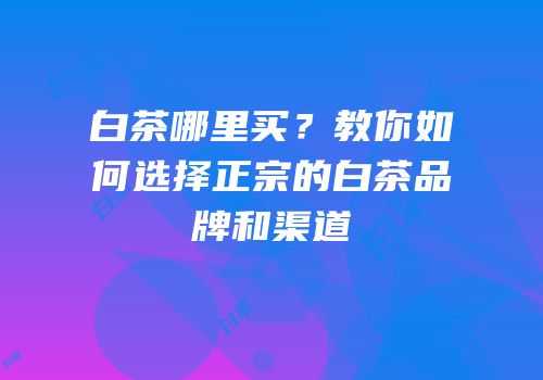 白茶哪里买？教你如何选择正宗的白茶品牌和渠道