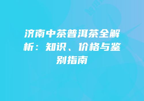 济南中茶普洱茶全解析：知识、价格与鉴别指南