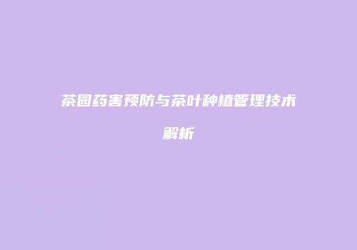 茶园药害预防与茶叶种植管理技术解析