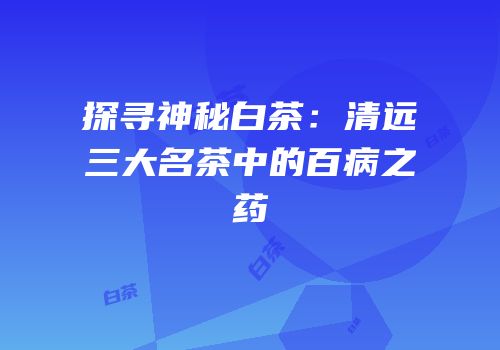 探寻神秘白茶：清远三大名茶中的百病之药
