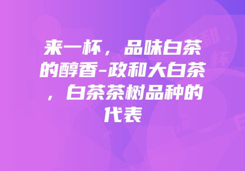 来一杯，品味白茶的醇香-政和大白茶，白茶茶树品种的代表