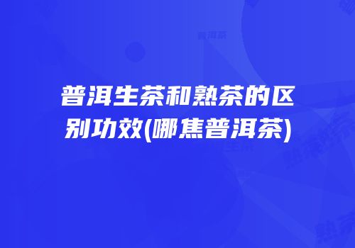 普洱生茶和熟茶的区别功效(哪焦普洱茶)