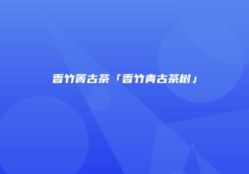 香竹箐古茶「香竹青古茶树」