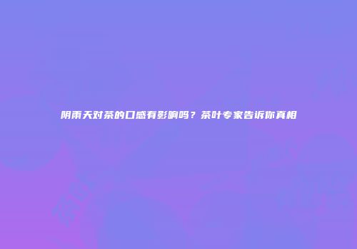 阴雨天对茶的口感有影响吗？茶叶专家告诉你真相