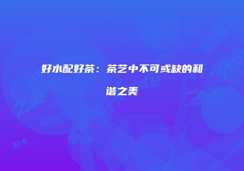 好水配好茶：茶艺中不可或缺的和谐之美