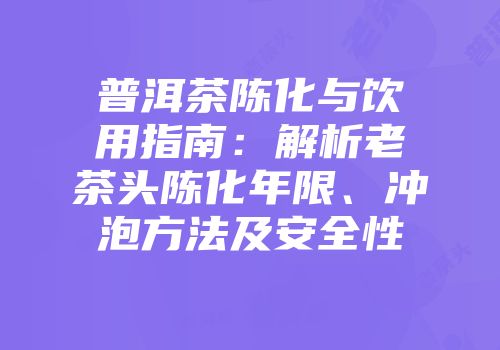 普洱茶陈化与饮用指南：解析老茶头陈化年限、冲泡方法及安全性