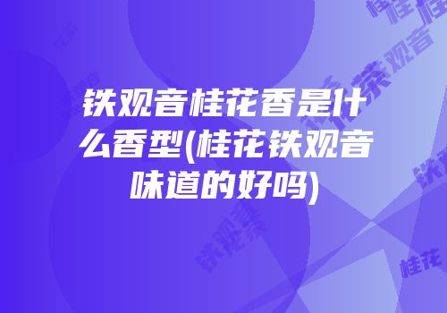铁观音桂花香是什么香型(桂花铁观音味道的好吗)