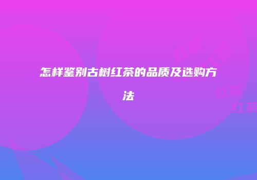 怎样鉴别古树红茶的品质及选购方法