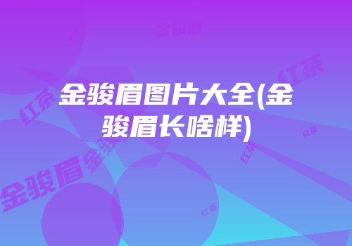 金骏眉图片大全(金骏眉长啥样)
