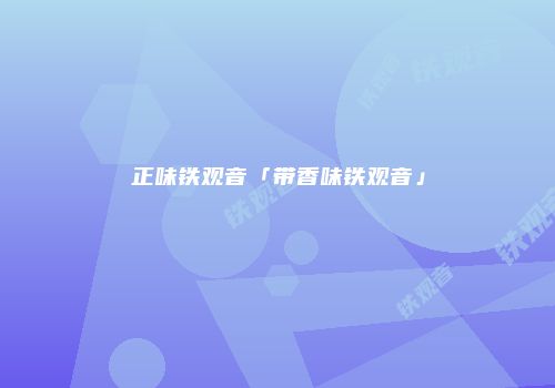 正味铁观音「带香味铁观音」