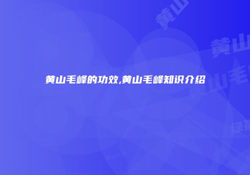 黄山毛峰的功效,黄山毛峰知识介绍