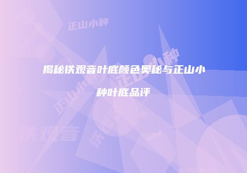 揭秘铁观音叶底颜色奥秘与正山小种叶底品评