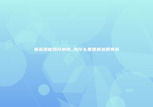 煮茶器能烧开水吗_为什么要用煮茶器煮茶