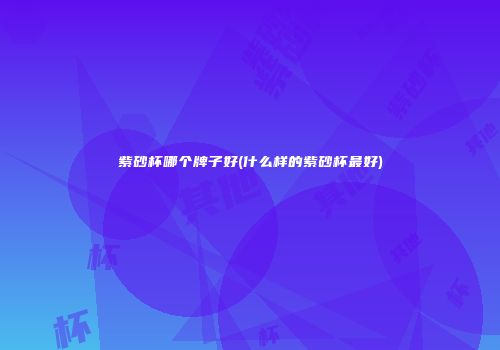 紫砂杯哪个牌子好(什么样的紫砂杯最好)
