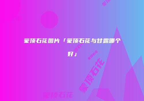 蒙顶石花图片「蒙顶石花与甘露哪个好」