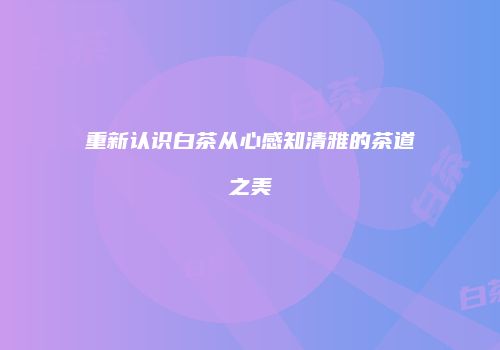 重新认识白茶从心感知清雅的茶道之美