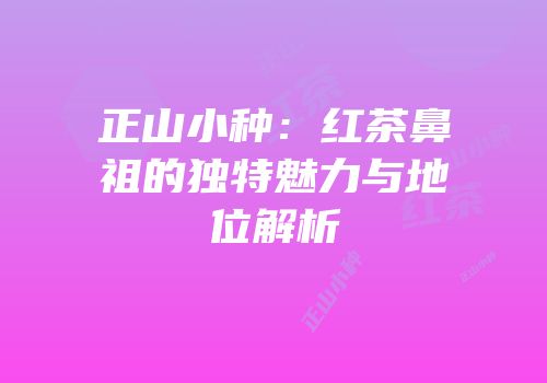 正山小种：红茶鼻祖的独特魅力与地位解析
