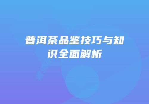 普洱茶品鉴技巧与知识全面解析