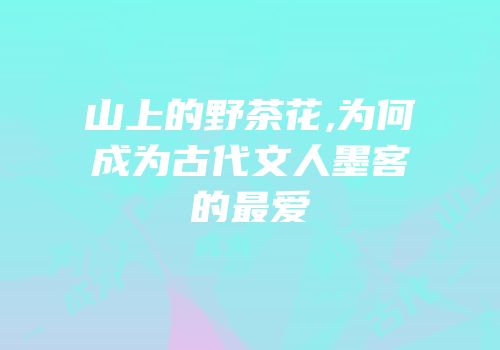 山上的野茶花,为何成为古代文人墨客的最爱